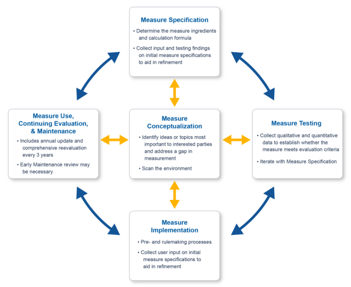 Lifecycle Graphic