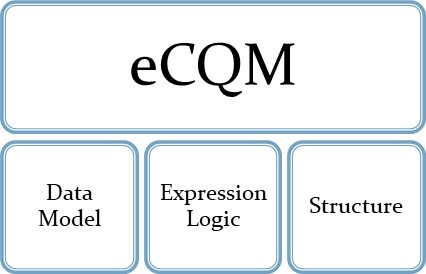 eCQM Structure